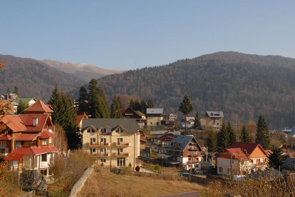 Гостевой дом HOSTEL Casa Cristina Буштени-76