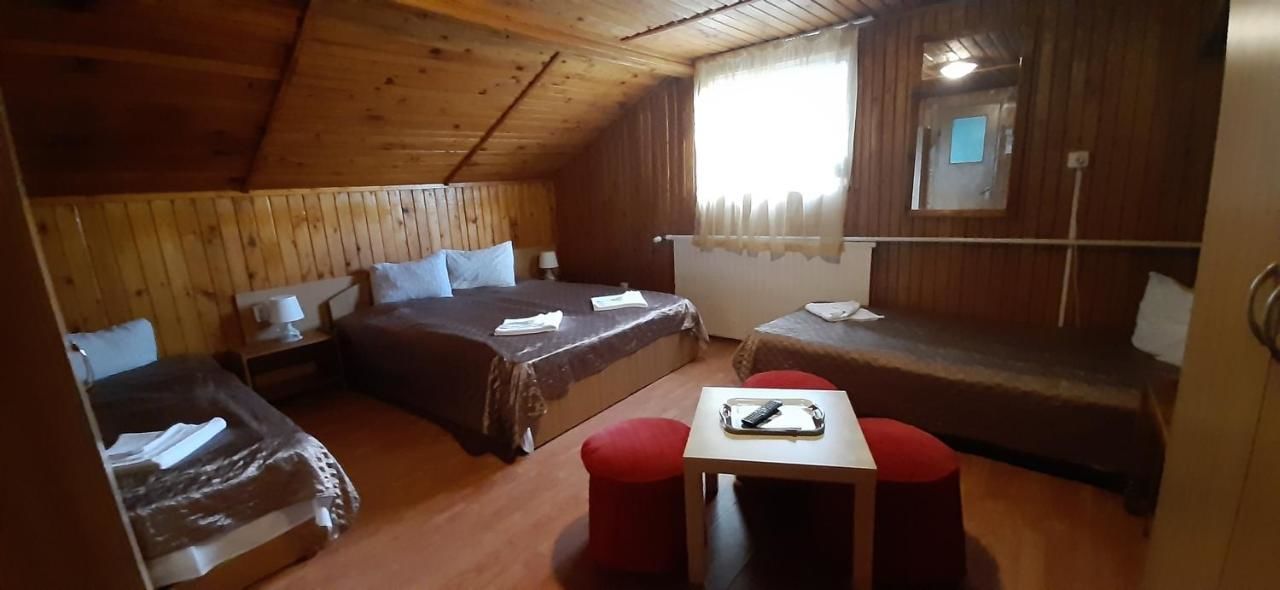 Гостевой дом HOSTEL Casa Cristina Буштени-12